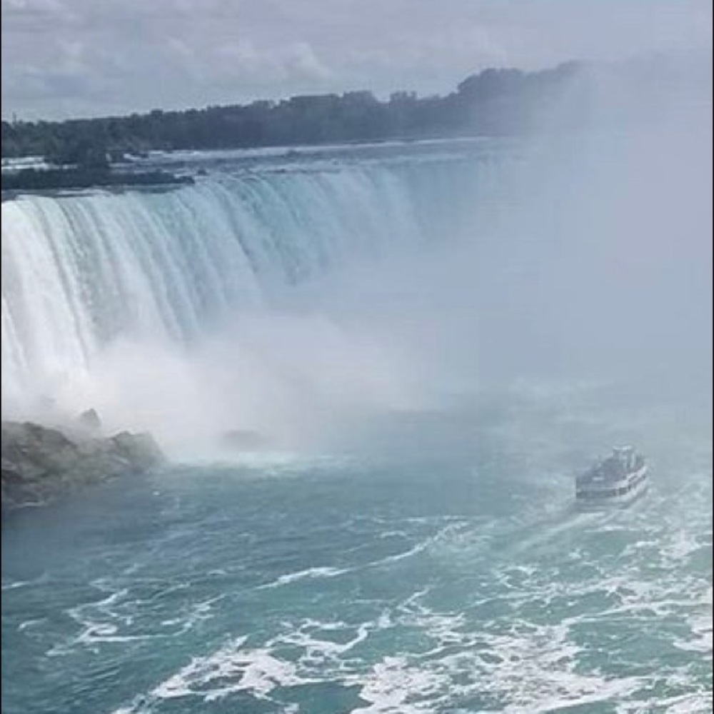 Meet your Posher, Julia